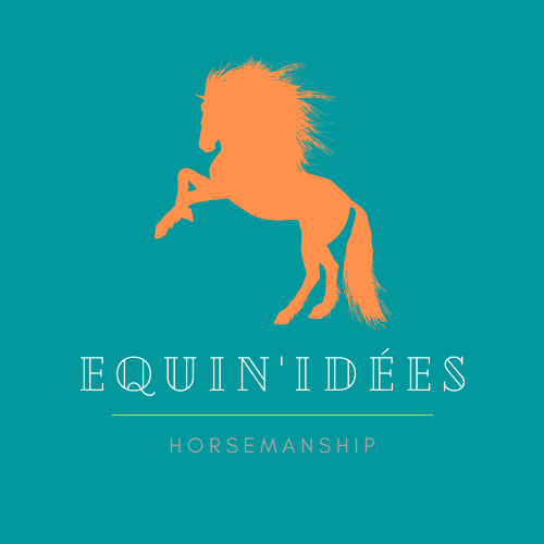 Equin'Idées Logo